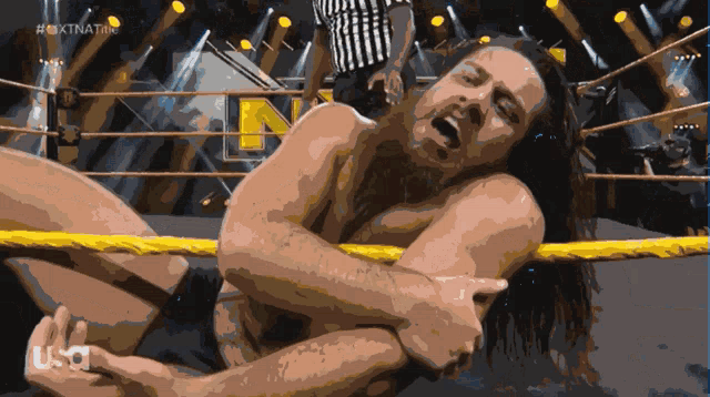 a man in a wrestling ring with a usa logo in the corner