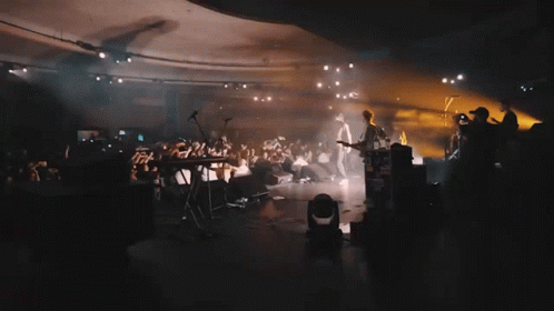 Concert Parker Cannon GIF - Concert Parker Cannon Will Levy GIFs