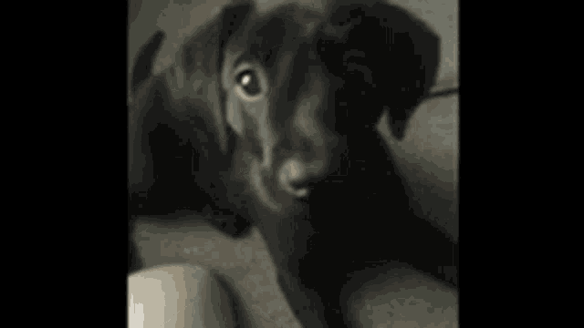 a blurry picture of a person walking down a hallway