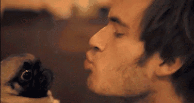 a man is kissing a small dog on the nose .