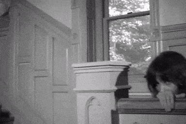 a black and white photo of a woman looking out a window