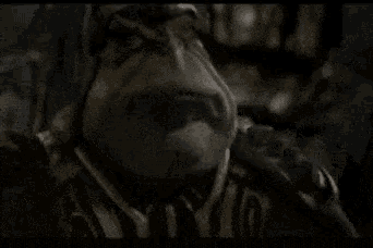 a frog says begone with him in a pixelated image