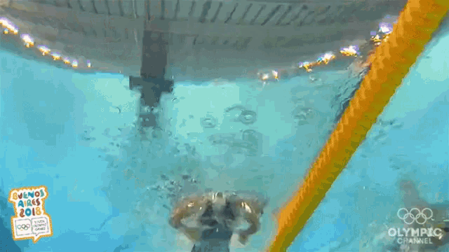 Swimming Race GIF - Swimming Race Swimmer GIFs