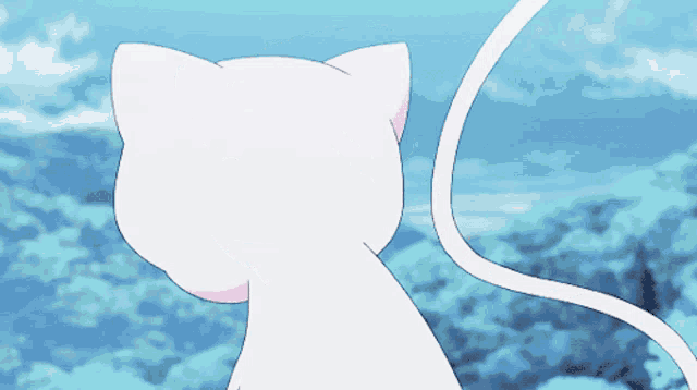a white cat with a pink nose and tail looks at the sky