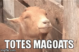 Totes Magoats GIF - Totes Magoats GIFs