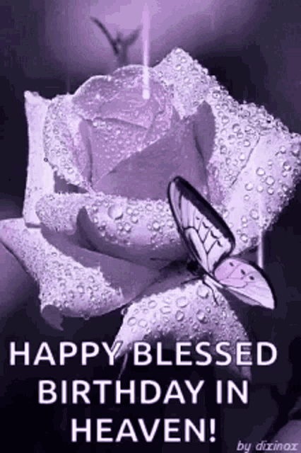a purple rose with water drops and a butterfly on it is a happy blessed birthday in heaven .