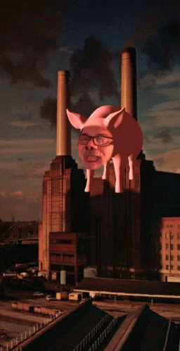 Pigs On The Wing GIF - Pigs On The Wing GIFs
