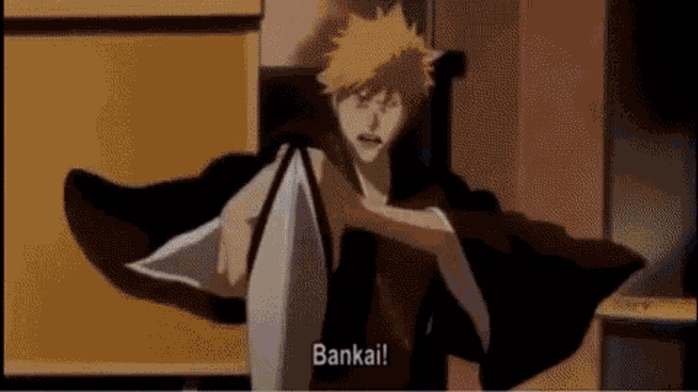 Anime Bankai GIF - Anime Bankai Bleach GIFs