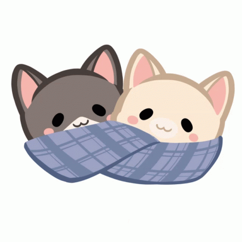 Mimi And Nini Cozy Cat GIF - Mimi And Nini Cozy Mimi And Nini Cat GIFs