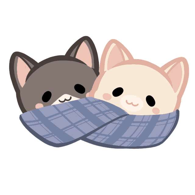 two cartoon cats wrapped in a blue plaid scarf