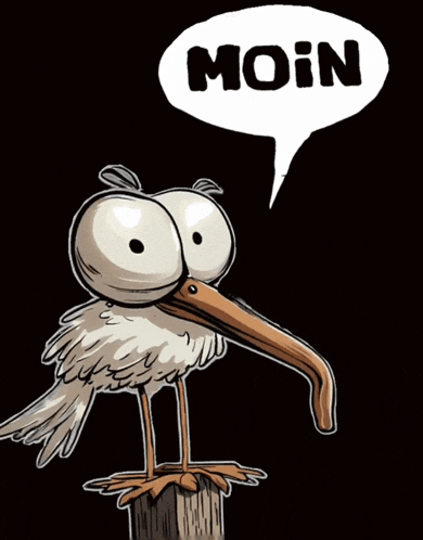 a cartoon bird with a speech bubble that says " moin "
