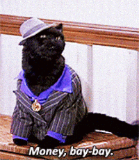 a black cat dressed in a suit and hat says money bay bay