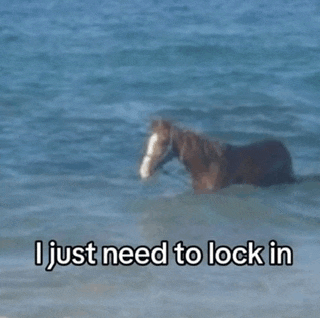 a horse in the ocean with the words i just need to lock in