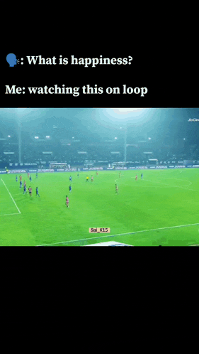 a soccer game is being played on a field with the caption what is happiness