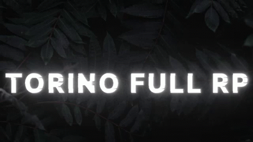 Torino Full Rp GIF - Torino Full Rp GIFs