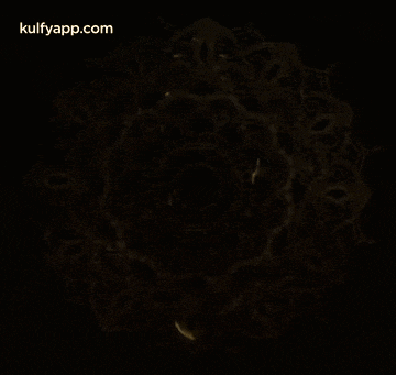 a picture of a golden elephant with the words kulfyapp.com on the bottom right
