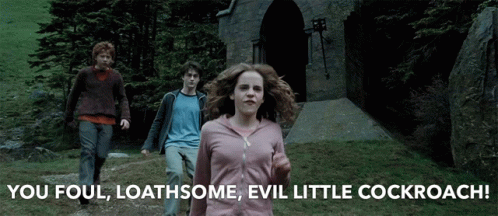 Hermione Angry GIF - Hermione Angry Malfoy GIFs