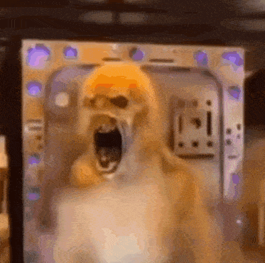 a close up of a dog with its mouth open in front of a door .