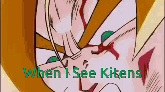 a close up of a person 's face with the words " when i see kitens " below it