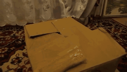 Hide-a-kitty GIF - Cats Boxes Surprise GIFs