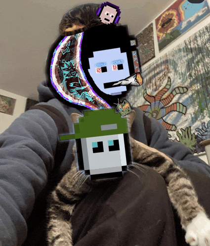 a pixel art of a person holding a cat with a green hat on