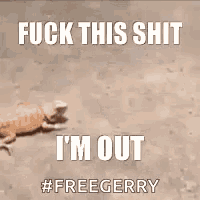 a picture of a spider crawling on the ground with the words `` fuck this shit i 'm out '' .
