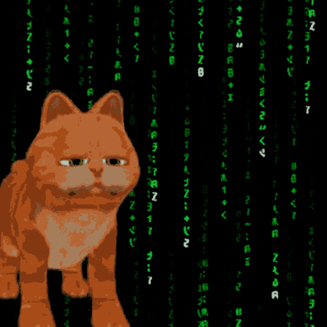 Garfield Matrix Matrix Meme GIF - Garfield Matrix Matrix Meme GIFs