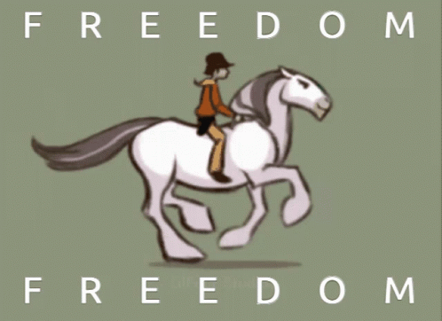 Freedom Free Horse GIF - Freedom Free Horse White Stallion GIFs