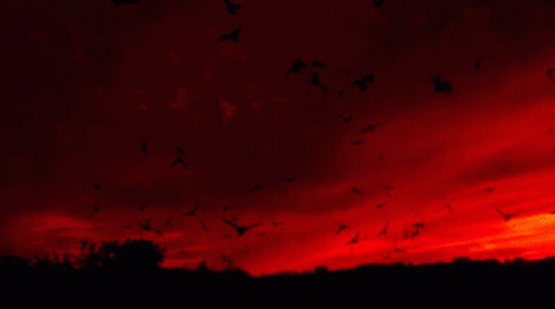 Sky Red GIF