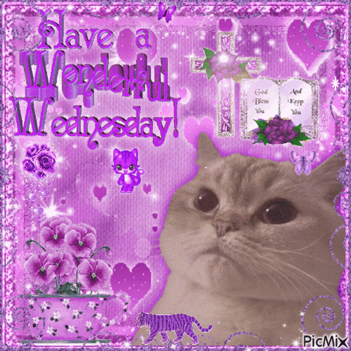a picture of a cat with the words " have a wonderful wednesday " on it