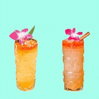 Friday Cheers GIF - Friday Cheers GIFs