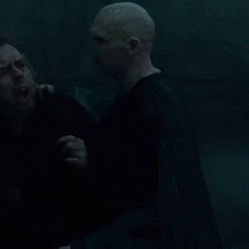 Harry Potter Hp GIF - Harry Potter Hp Voldemort GIFs