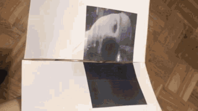 a piece of paper with a picture of a person 's face on it