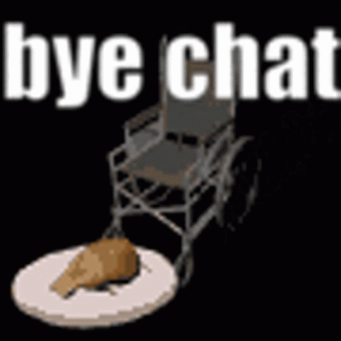 Bye Chat Bye GIF - Bye Chat Bye Cat Lady GIFs