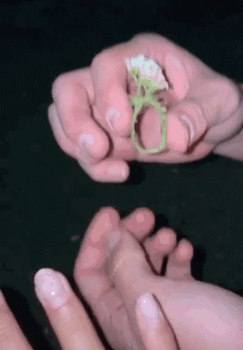 Putting A Flower Ring On His Girlfriend Cute Couple GIF - Putting A Flower Ring On His Girlfriend Cute Couple I Love You GIFs