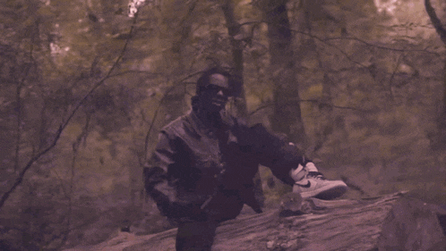Jdotds Top Dog GIF