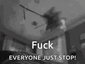 a black and white photo of a cat saying `` fuck everyone just stop '' .