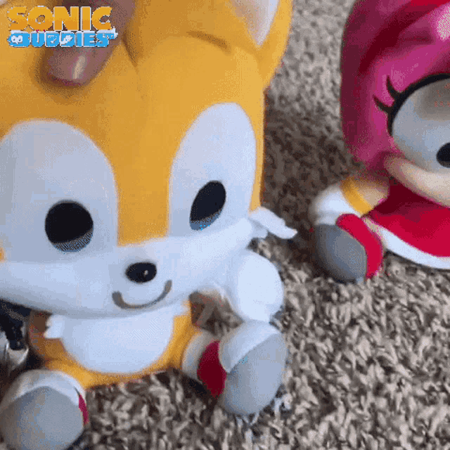 tails and amy from sonic the hedgehog are sitting next to each other