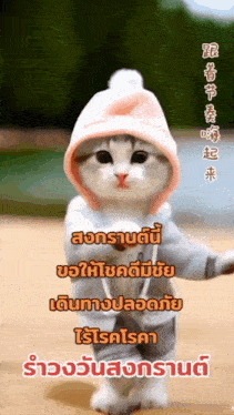 a cat wearing a pink hat and a hoodie is walking on the ground