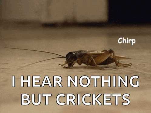 a cricket is crawling on the ground next to a caption that says i hear nothing but crickets