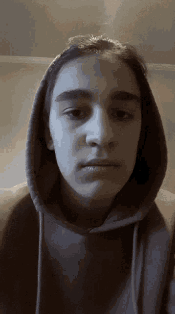 a person wearing a hoodie looks at the camera