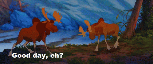 Moose Brother Bear GIF - Moose Brother Bear Moose Brother Bear GIFs