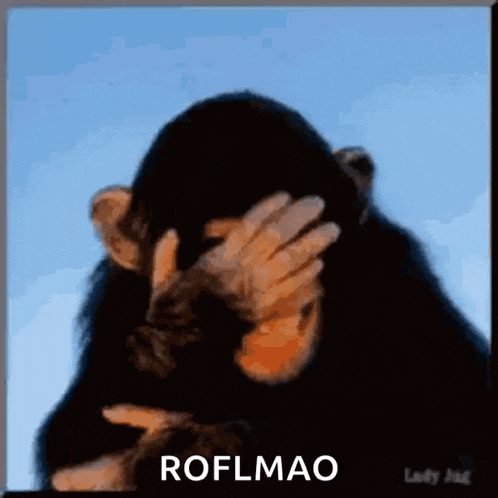 a chimpanzee is covering his face with his hand and the caption roflmao is below him