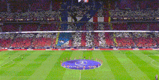 a soccer field with a circle in the middle that says ' bayern ' on it