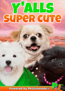 a poster with three dogs and the words y ' alls super cute