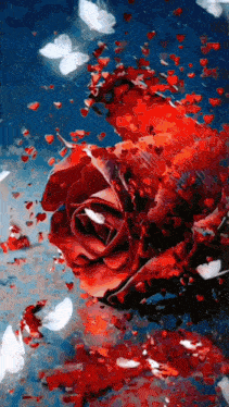 a red rose surrounded by hearts and butterflies
