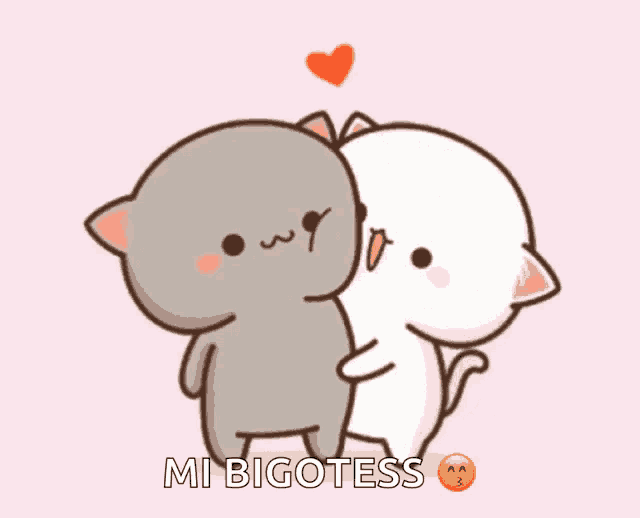 a cartoon of two cats hugging each other with the words mi bigotess below them