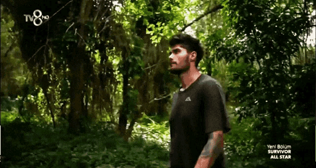 a man in a black t-shirt is standing in a lush green forest with a tv8 hd logo in the background