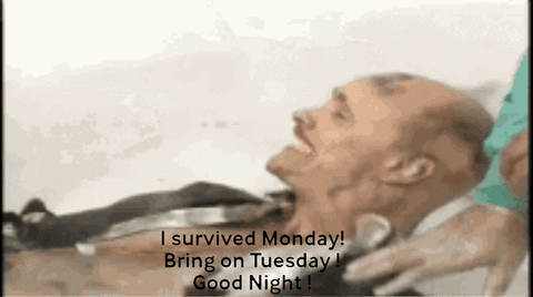 Monday Survival Is Real Goodnight GIF - Monday Survival Is Real Monday Goodnight GIFs