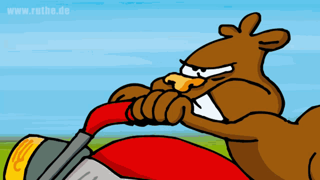 a cartoon of a squirrel riding a motorcycle with the website www.ruthe.de visible in the corner